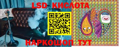 стафф Камышлов