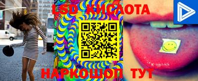 стафф Камышлов