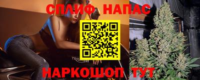 стафф Камышлов