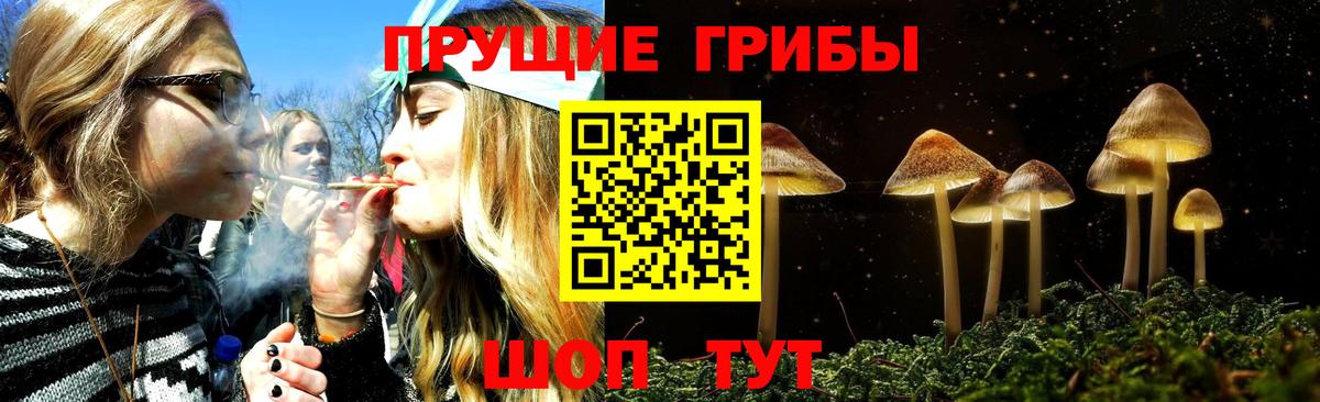 Галлюциногенные грибы Cubensis Кубинка
