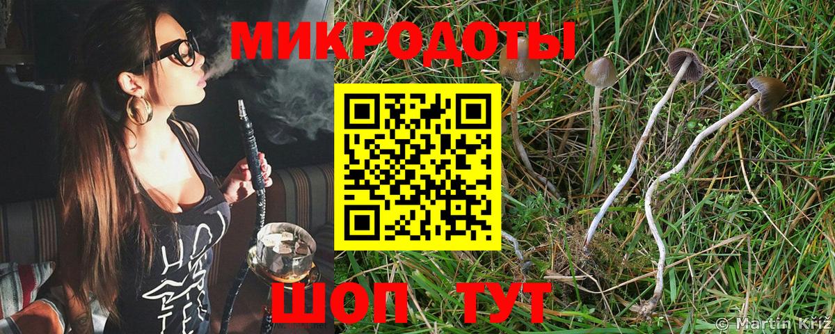 Кубинка  Псилоцибиновые грибы ЛСД  Вход с VPN 